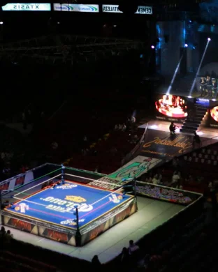 All Elite Wrestling: Dynamite & Collision