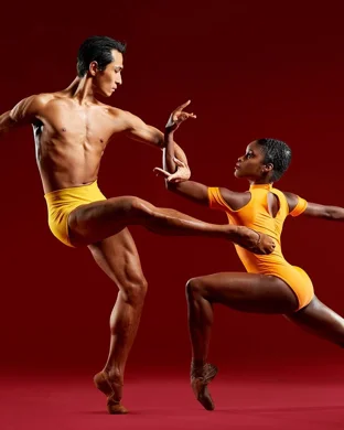 Social Tango Project